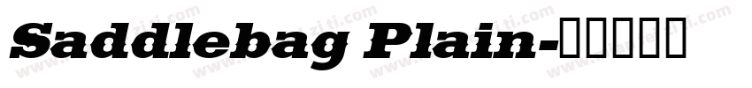 Saddlebag Plain字体转换